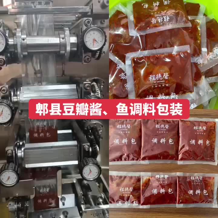 郫县豆瓣包装,鱼调料包包装，一小袋一小袋，用着很方便呀