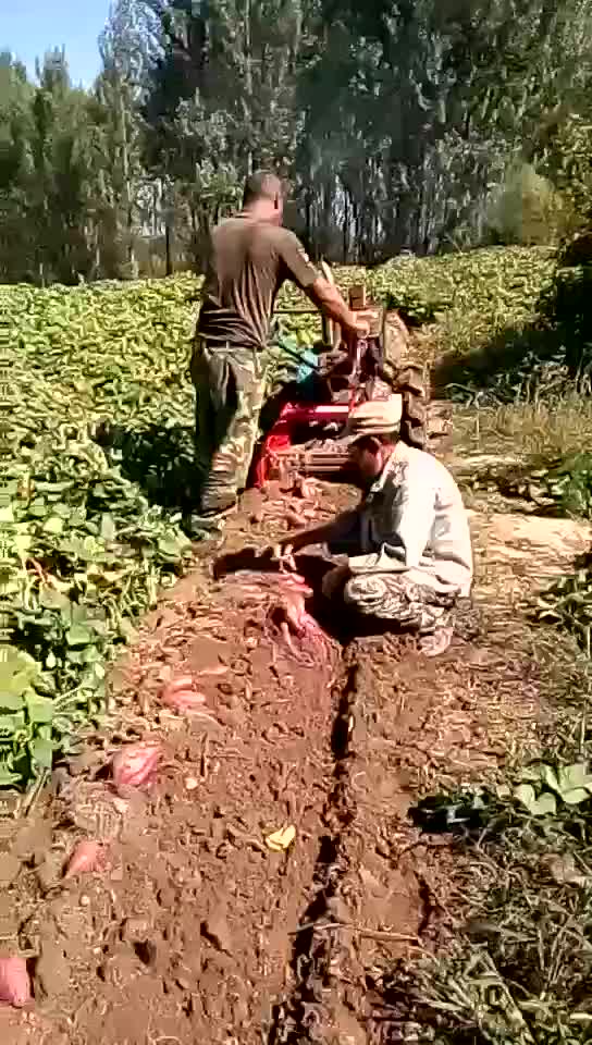 挖地瓜机 小型手扶式地瓜红薯收获机