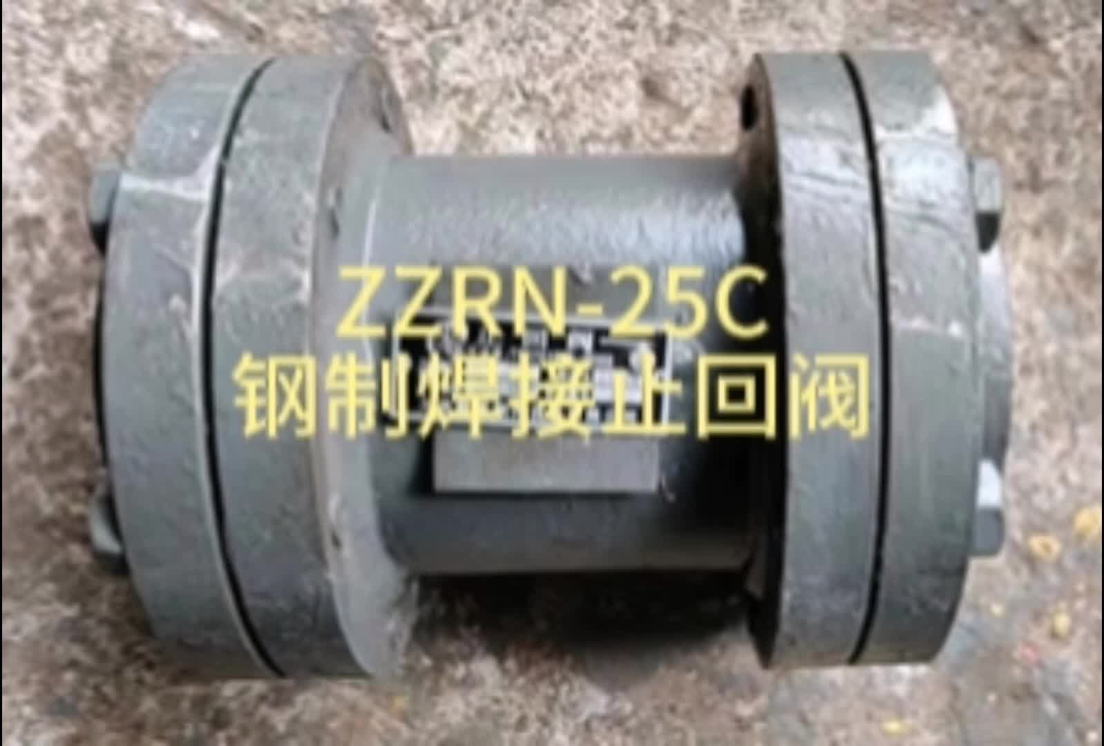 ZZRN-25C氨用氟用止回阀