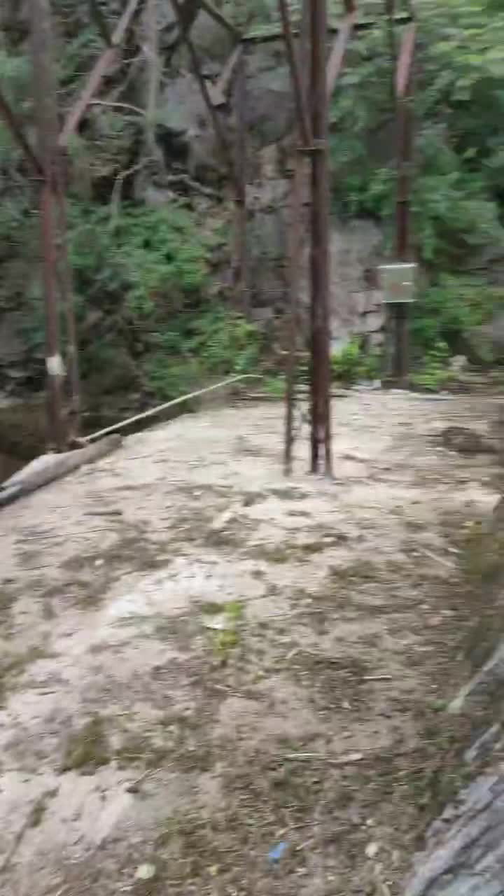 桂林水电站河道市政污水清污机 格栅除污机