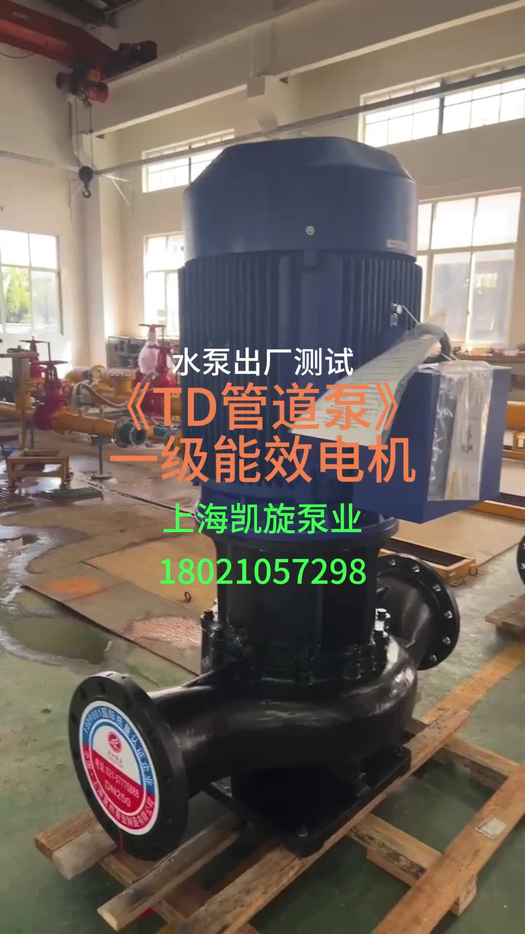 TD管道泵配YE5一级能效电机-上海凯旋泵业