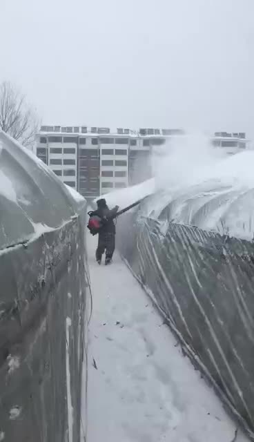 背负式汽油吹风机 手提式大棚吹雪机 路面吹尘大风量灭火机