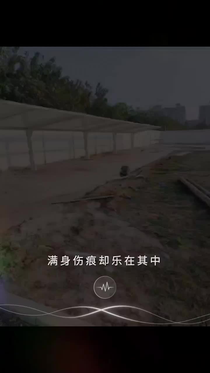 山西膜结构   张拉膜    膜结构工程